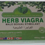 New York City lawmakers are hoping to ban sales of herbal Viagra in light of Lamar Odom's health scare.